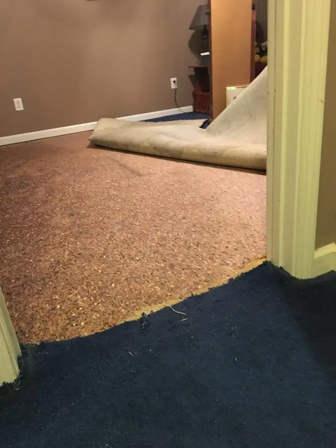 Carpet pad removal revealing water damage during Drying & Dehumidification in Delphos