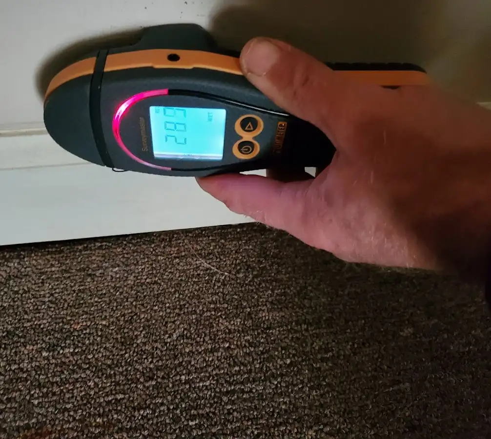 Moisture detection at baseboard during Sewage Cleanup & Sanitation in Delphos
